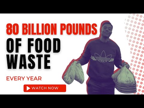 Global Food Waste Problems