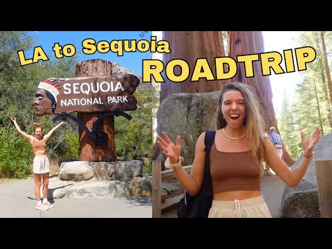 Sequoia National Park Drive California (world's largest tree)