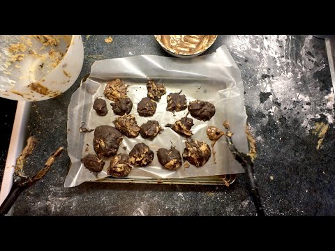 Peanut Butter Chocolate Robot Balls - YSAC (ep. 33)