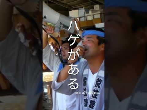 聞いてください！オリジナルソング明るいハ○ゲのうた！ #祭 #神輿 #matsuri #japaneseculture