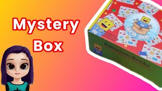 Mystery Box Unboxing Babacorn-Bricks August 22 @fizzykids9281 @babacorn