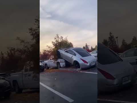 Nissan Z parked inna tree