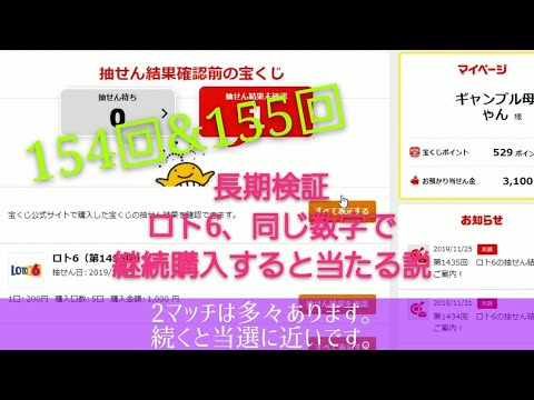 【長期検証】ロト6、同数字継続購入、154回&155回