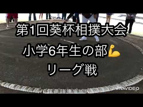 【わんぱく相撲】第1回葵杯相撲大会😃小学6年生リーグ戦💪2021.3.28(日)【葵相撲道場】