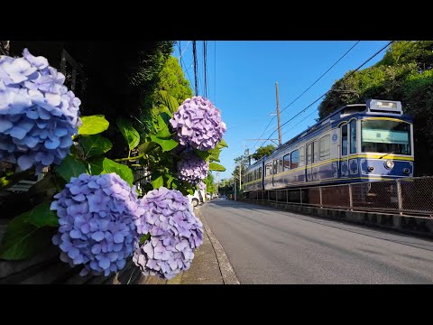 Walk in Seaside village. Stroll along the Local Railway to Ocean View Station【4K Kamakura Japan】