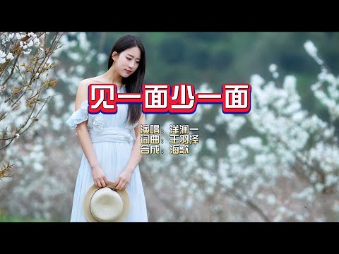 洋澜一《见一面少一面》KTV 导唱字幕 （备有伴奏视频）