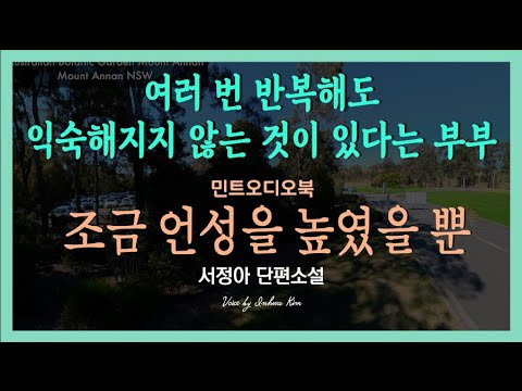 그 일 후 아내와의 팽팽한 긴장감이 흐르는데... 서정아 단편소설 - 조금 언성을 높였을 뿐