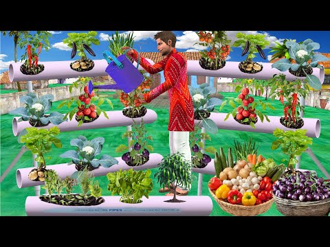 PVC Pipes Vegetables Farming Growing Organic Vegetables Hindi Kahani Moral Stories New Comedy Video