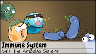 Immune System