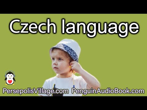 Mastering Czech for English Speakers: Intensive Listening and Practice Sessions