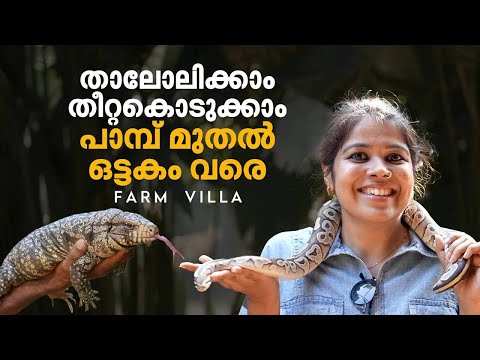 റെഡ് ടൈഗു മുതൽ ഇത്തിരിക്കുഞ്ഞൻ കങ്കാരുവരെ, ചാവക്കാട്ടെ അത്ഭുത ലോകം  | Farm Villa | Exotic Animals