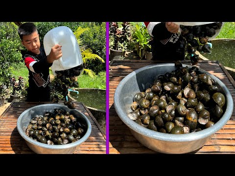 Country chef cook delicious river snails with best skills - Seyhak cook for grandma  - Chef Seyhak