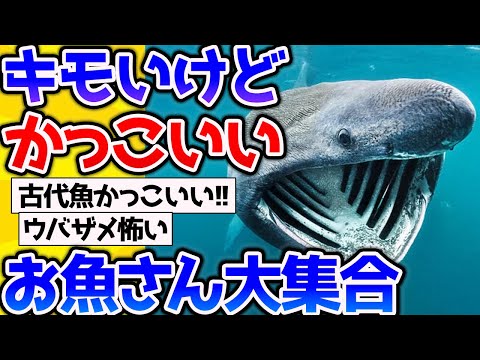 【2ch動物スレ】不思議で奇妙でかっこいい魚の画像を貼っていくスレ【なんj】 #生き物 #2ch