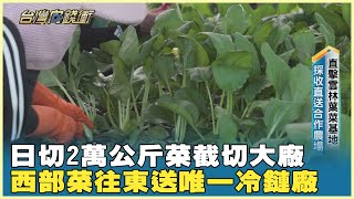 日切2萬公斤菜截切大廠 西部菜往東送唯一冷鏈廠 20241207【台灣向錢衝】Part4