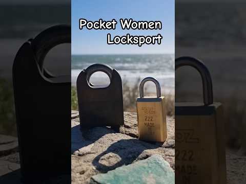 Padlocks have landed and went on a tour | Locksport Community Spirit