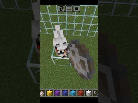 Wolf Attacks Sheep in Minecraft |Wolf Vs Sheep in Minecraft #minecraft #youtubeshorts#minecraftguide