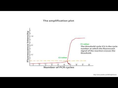 Real Time PCR - Interpretation of the amplification plot - part 2 HD