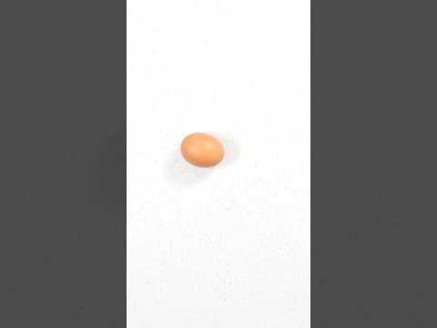 Egg