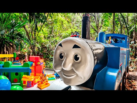 Looking for Thomas & Friends: Thomas The Train