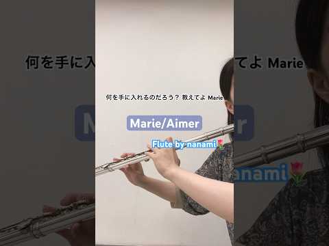 Marie/Aimer【演奏してみた】【フルート】