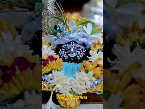 Hare Krishna #radhakrishna #radhakrishnastatus #harekrishna #youtubeshorts