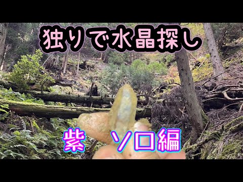 （縦動画・全画面表示）独りで水晶探し　～紫編　【鉱物採集】