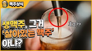 생맥주가 살아있는 맥주라고 생각한다면 클릭하세요 - 명품맥덕