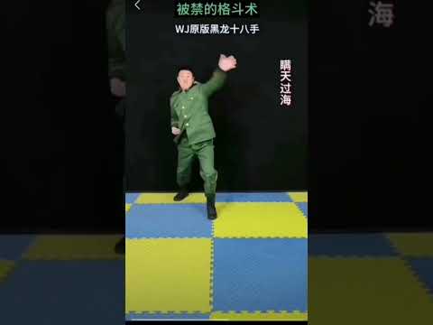 《極限運動 挑戰自我》第17期 #奇闻怪事