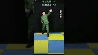 《極限運動 挑戰自我》第17期 #奇闻怪事