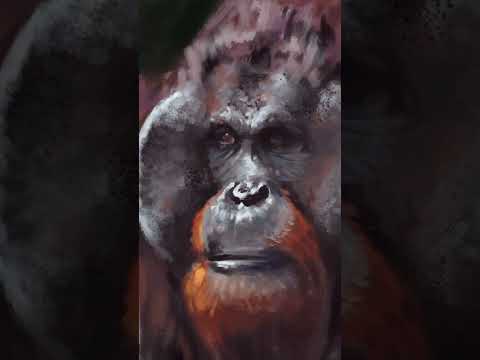 Painting an orangutan #shorts