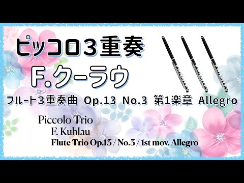 【ピッコロ3重奏】クーラウ「フルート3重奏曲Op.13 第３番第１楽章Allegro」