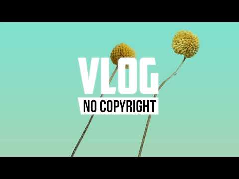 Novael - Coralys (Vlog No Copyright Music)