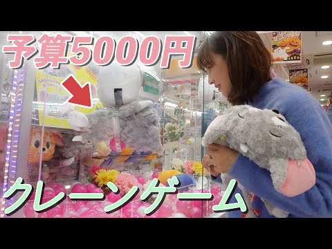 【予算5000円】実は特技！クレーンゲーム必勝法を披露！のつもりが…結果は？？【UFOキャッチャー】