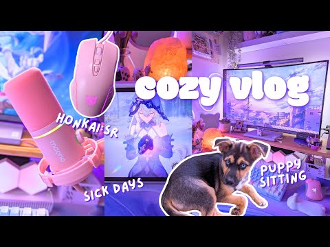 💜week in the life of a cozy gamer | 🐶puppysitting, getting 😷 sick, ipad gaming, 5 star pulls~🌟