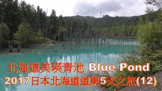 (4K) 北海道美瑛青池,美瑛青い池,Biei Shirogane Blue Pond ,4K Ultra HD