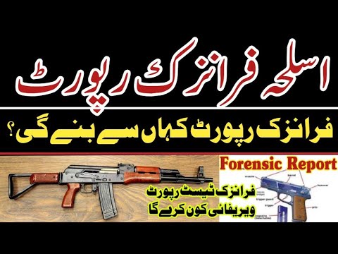 Forensic Report for weapon License Punjab Forensic Lab Lahore 2024 |@justtolaw