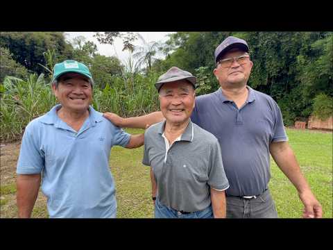 O JUNCAL E AS ESTEIRAS YAMAMOTO - REGISTRO SP