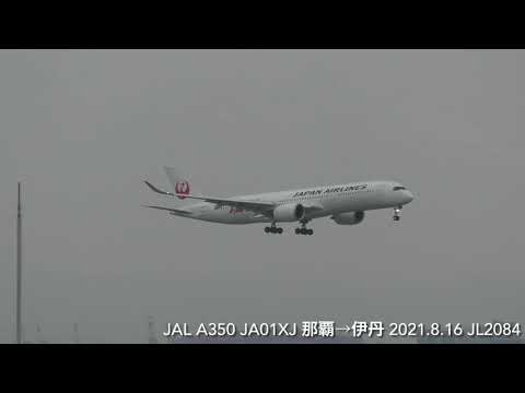 JAL とても美しいA350