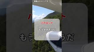 小型機が高速道路上に緊急着陸！？#shorts #雑学 #豆知識