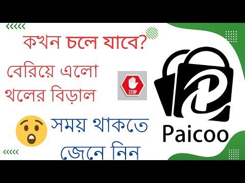 Paicoo|Paicoo App|Paicoo Income|Paicoo site review