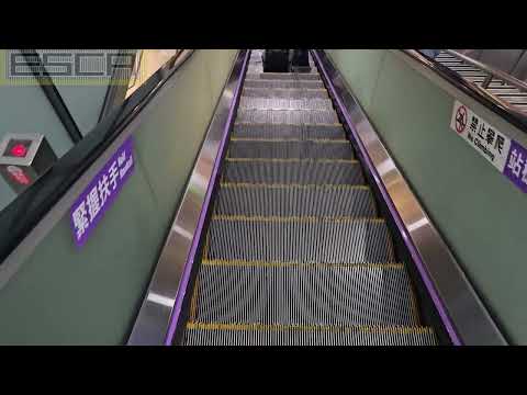 Taiwan Taoyuan Airport escalator GFC down