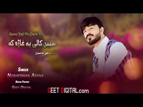 Nosherwan Ashna New Songs 2023 Speen Kali Pa Ghara Ka | Pashto Songs 2023