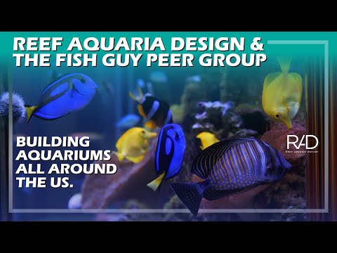 THE TEAM OF REEF AQUARIA DESIGN AND THE FISH GUY PEER GROUP BUILDING AQUARIUMS ALL AROUND THE US