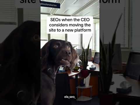 If this goes down, prepare for the chaos #seoconcerns #platformmigration #seochallenges #meme