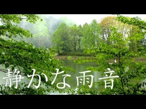 【作業用BGM】やさしい雨の音　1時間・Gentle rain sounds 1 hour