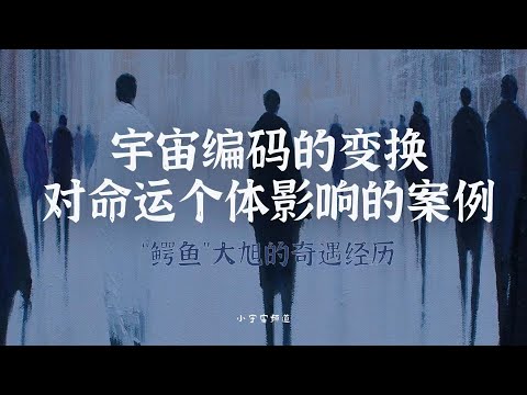 宇宙编码的交换对命运个体影响的案例 “鳄鱼”大旭的奇遇经历