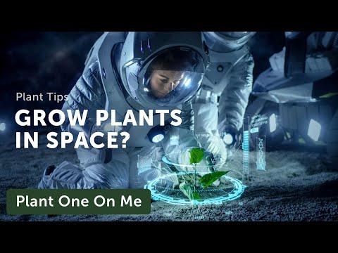 Can You Grow PLANTS in SPACE? — Ep. 363