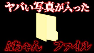 ネットに出回っていたという「Aちゃんファイル」は実在するのか？【都市伝説】