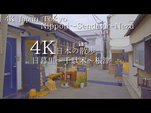 Tokyo Nippori, Sendagi and Nezu Walk 4K HDR