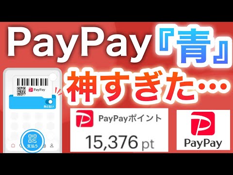 PayPay「青」にするとこんなに凄いことに…‼︎【あと払い】